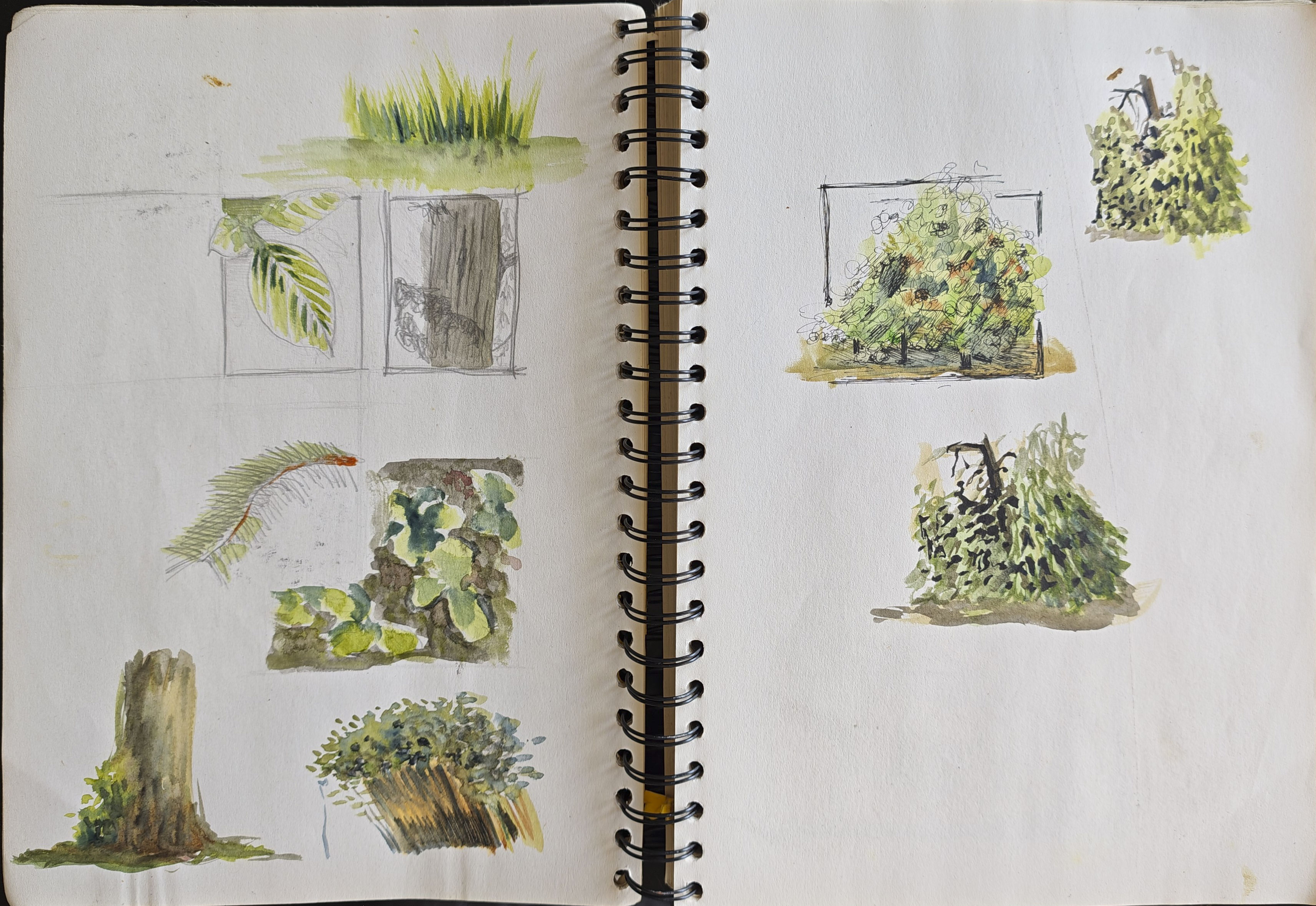 Extrait de carnet